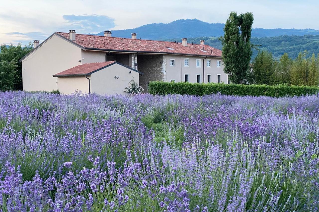 Montecchia di Crosara Casa Perazzoloヴィラ エクステリア 写真