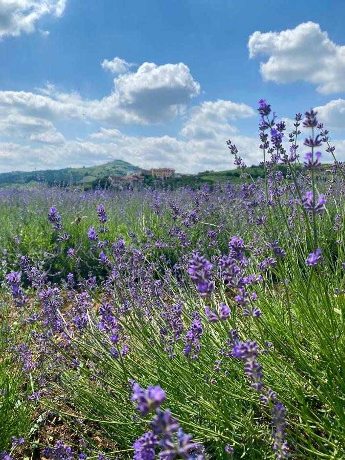 Montecchia di Crosara Casa Perazzoloヴィラ エクステリア 写真