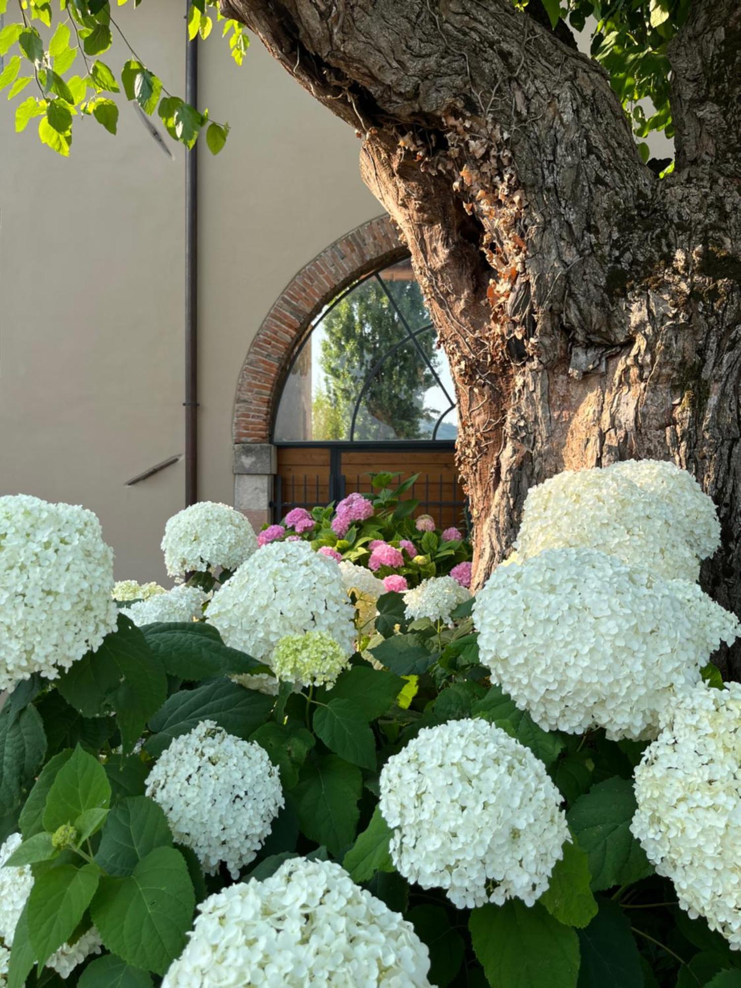 Montecchia di Crosara Casa Perazzoloヴィラ エクステリア 写真